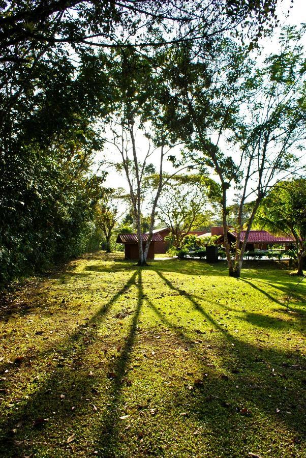 Natural Lodge Cano Negro Esterno foto